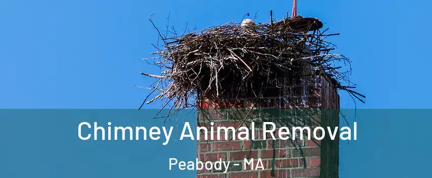 Chimney Animal Removal Peabody - MA