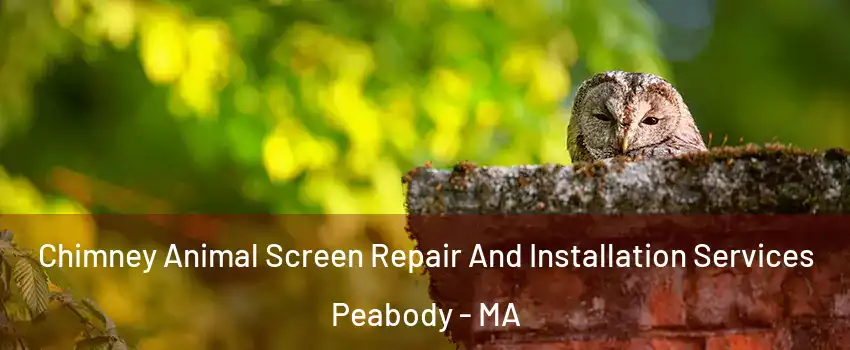  Chimney Animal Screen Repair And Installation Services Peabody - MA
