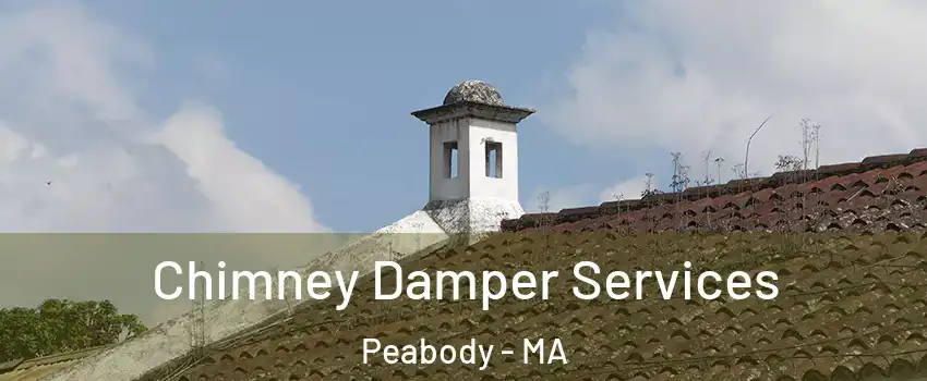  Chimney Damper Services Peabody - MA
