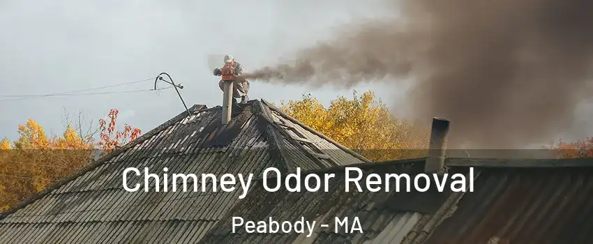  Chimney Odor Removal Peabody - MA