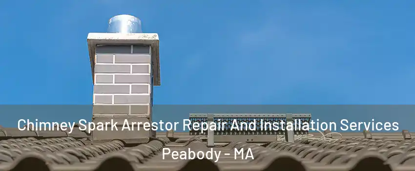  Chimney Spark Arrestor Repair And Installation Services Peabody - MA