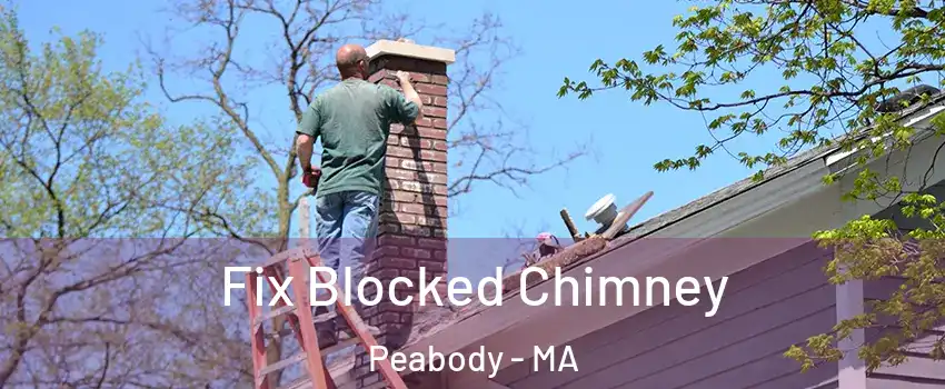  Fix Blocked Chimney Peabody - MA