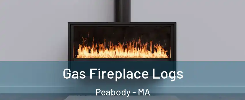  Gas Fireplace Logs Peabody - MA