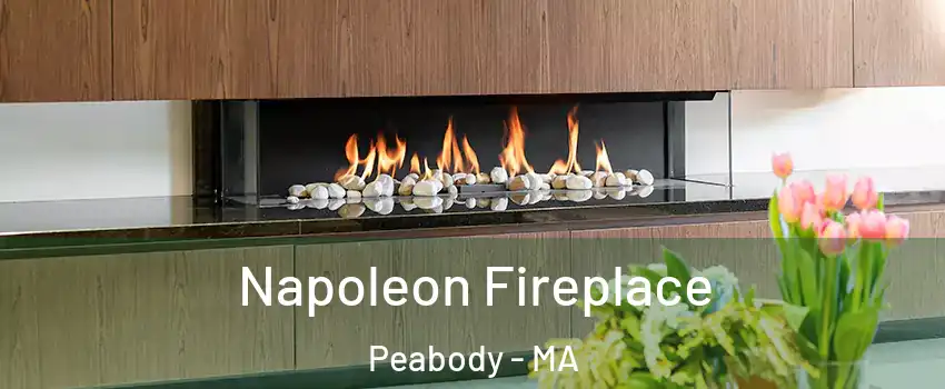  Napoleon Fireplace Peabody - MA